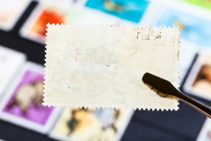 Philatelist's tongs holding a postage stamp showing its back glue side over a stamp album
